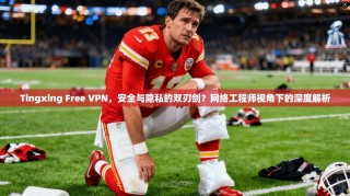 Tingxing Free VPN，安全与隐私的双刃剑？网络工程师视角下的深度解析