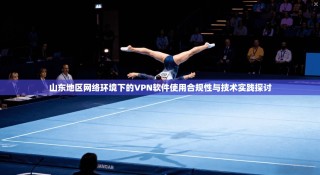 山东地区网络环境下的VPN软件使用合规性与技术实践探讨