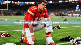 IP转换器与VPN，网络隐私保护与访问自由的技术双刃剑