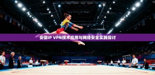 安徽IP VPN技术应用与网络安全实践探讨