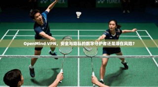 OpenMind VPN，安全与隐私的数字守护者还是潜在风险？