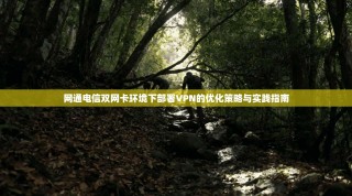 网通电信双网卡环境下部署VPN的优化策略与实践指南