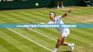 Linux系统下配置VPN代理的完整指南，从基础到进阶