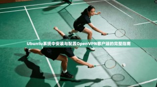 Ubuntu系统中安装与配置OpenVPN客户端的完整指南