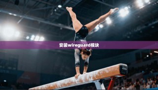 安装wireguard模块