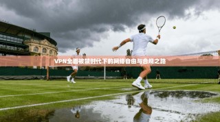VPN全面被禁时代下的网络自由与合规之路