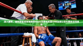 深入解析，如何安全高效地修改Hosts文件与配置VPN连接以优化网络访问体验