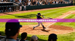 国内VPN服务器现状与网络安全合规性探讨