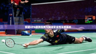 安速VPN使用指南与网络安全性深度解析