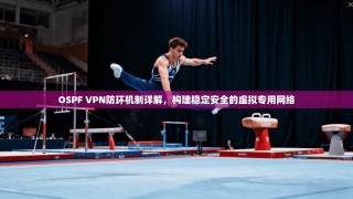 OSPF VPN防环机制详解，构建稳定安全的虚拟专用网络