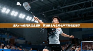 速风VPN使用风险全解析，网络安全与合规性不可忽视的警示