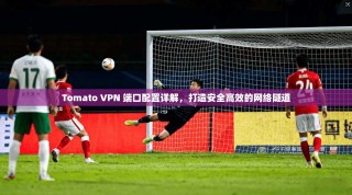 Tomato VPN 端口配置详解，打造安全高效的网络隧道