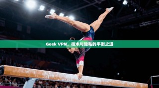 Geek VPN，技术与隐私的平衡之道