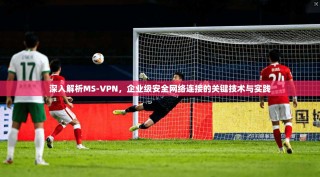 深入解析MS-VPN，企业级安全网络连接的关键技术与实践