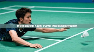 合法使用虚拟私人网络（VPN）的申请流程与合规指南