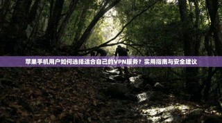 苹果手机用户如何选择适合自己的VPN服务？实用指南与安全建议