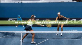 SSL VPN技术详解，企业安全远程访问的现代解决方案