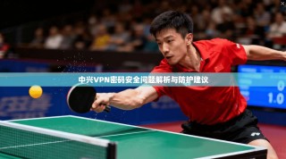 中兴VPN密码安全问题解析与防护建议