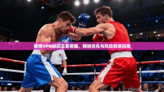 使用VPN畅玩王者荣耀，网络优化与风险规避指南