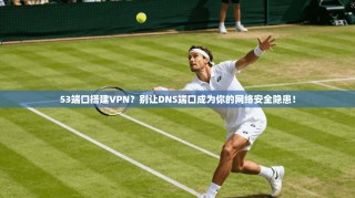 53端口搭建VPN？别让DNS端口成为你的网络安全隐患！