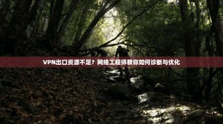 VPN出口资源不足？网络工程师教你如何诊断与优化
