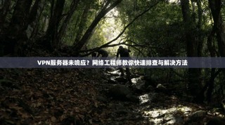VPN服务器未响应？网络工程师教你快速排查与解决方法