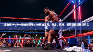 企业级TP-Link路由器部署VPN解决方案，安全、高效、易管理的远程访问之道