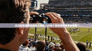 合法合规使用虚拟私人网络（VPN）技术选择与安全指南