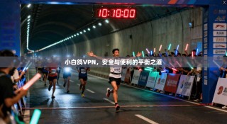 小白鸽VPN，安全与便利的平衡之道