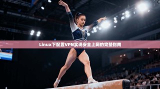 Linux下配置VPN实现安全上网的完整指南