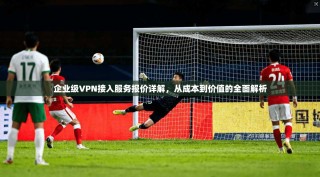 企业级VPN接入服务报价详解，从成本到价值的全面解析