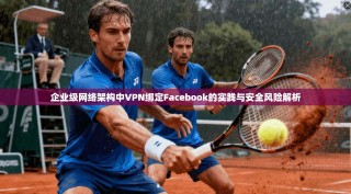 企业级网络架构中VPN绑定Facebook的实践与安全风险解析