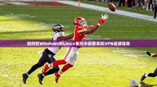如何在Windows和Linux系统中获取本机VPN连接信息