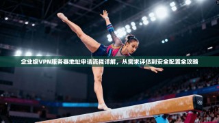 企业级VPN服务器地址申请流程详解，从需求评估到安全配置全攻略
