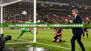 Linux下搭建高效安全的VPN服务器，SSH隧道与OpenVPN实战指南