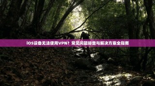iOS设备无法使用VPN？常见问题排查与解决方案全指南