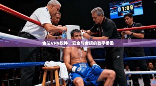 合法VPN软件，安全与合规的数字桥梁