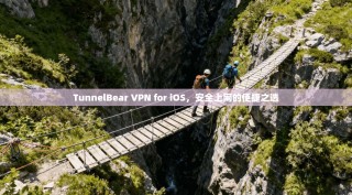 TunnelBear VPN for iOS，安全上网的便捷之选