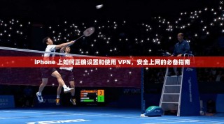 iPhone 上如何正确设置和使用 VPN，安全上网的必备指南