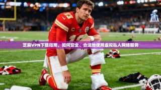 芝麻VPN下载指南，如何安全、合法地使用虚拟私人网络服务