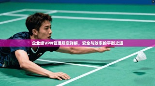 企业级VPN管理规定详解，安全与效率的平衡之道