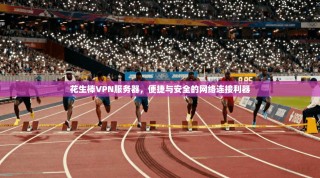 花生棒VPN服务器，便捷与安全的网络连接利器