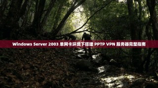 Windows Server 2003 单网卡环境下搭建 PPTP VPN 服务器完整指南