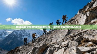 构建高效安全的VPN管理平台，现代企业网络的核心枢纽