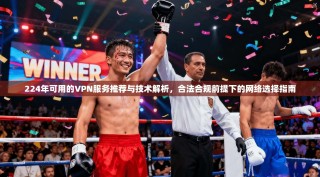224年可用的VPN服务推荐与技术解析，合法合规前提下的网络选择指南