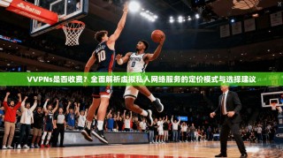 VVPNs是否收费？全面解析虚拟私人网络服务的定价模式与选择建议