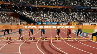 二师兄VPN，网络自由与合规边界之间的博弈
