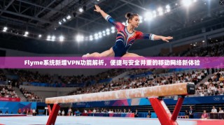 Flyme系统新增VPN功能解析，便捷与安全并重的移动网络新体验
