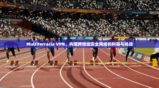 Multiterraria VPN，构建跨地域安全网络的利器与挑战
