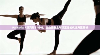 Packetix（派克斯）VPN，企业级安全与稳定性的优选方案解析